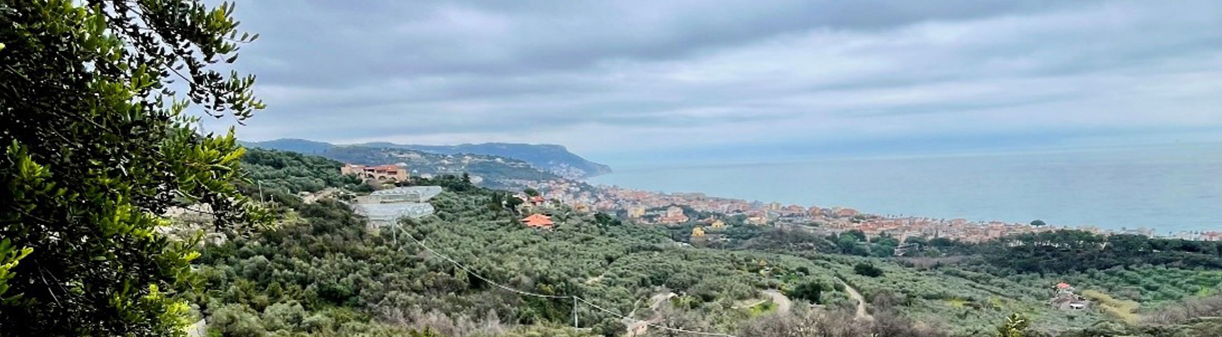 P43 Il giro dei 5 sensi