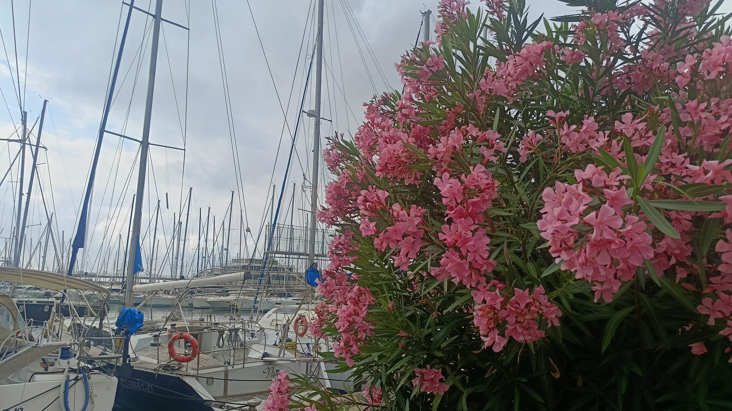L'alba fotografata dalla banchina della Marina di Loano - Maremontana Running Park